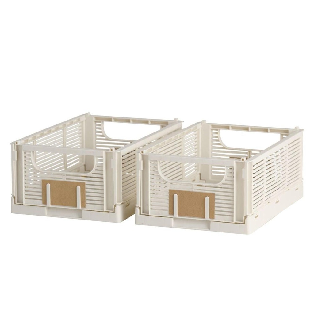 Set 2 Cajas De Almacenamiento Plegable 25 X 17 X10 cm DAY 2