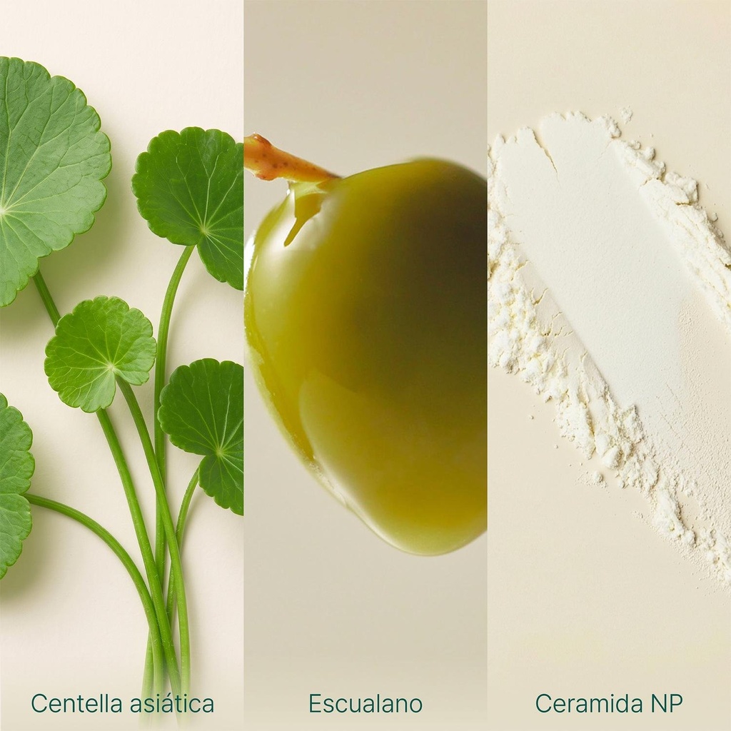 Crema Facial Centella 50ml Purito Wonder Releaf Sin Perfume 4