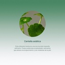 Pack Rutina Centella Purito 3