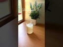youtube - [Video]