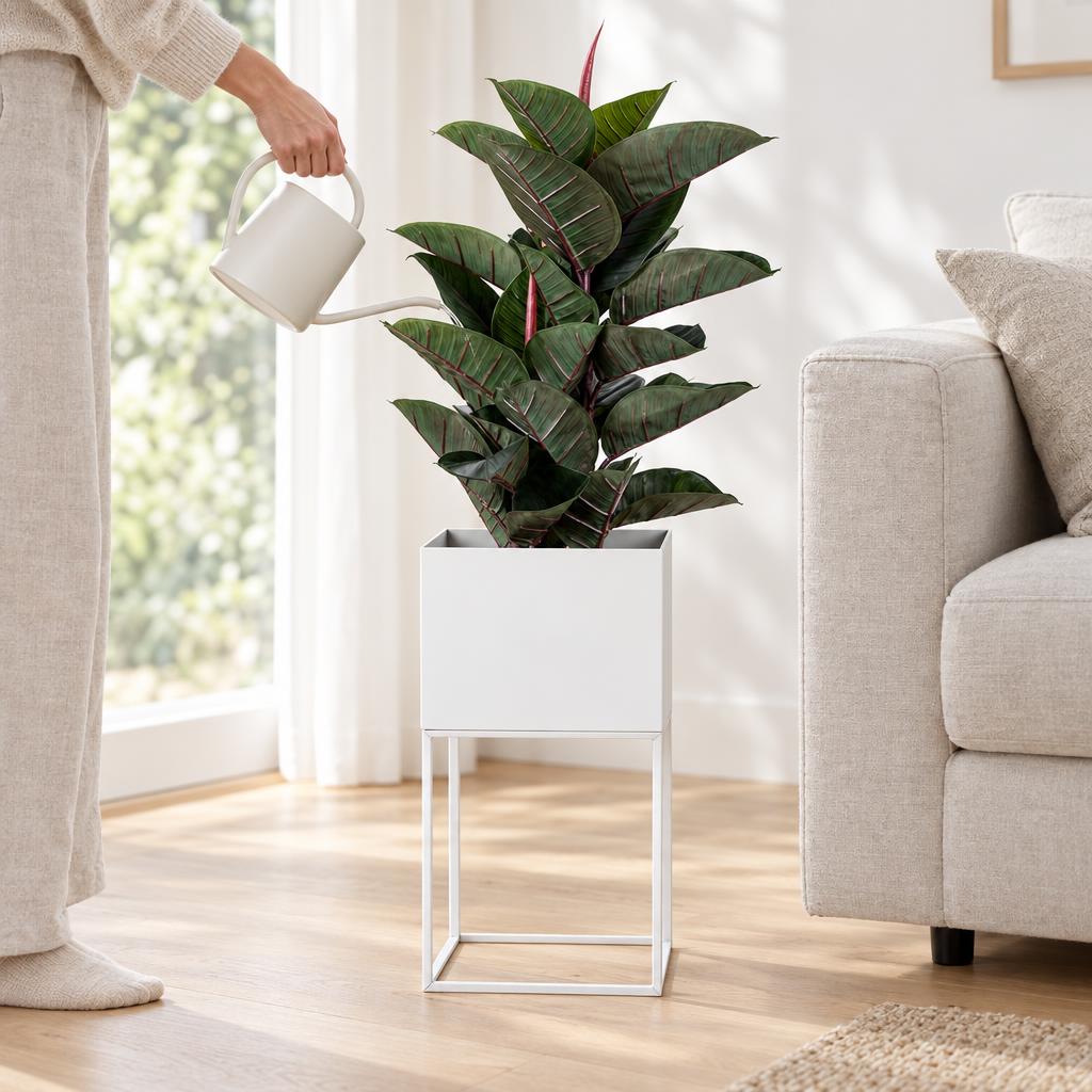 Macetero Metal Blanco 28X28X55 DAY 9