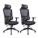 Pack 2 Silla Escritorio Oficina Ergonómica Ergotech LEVO